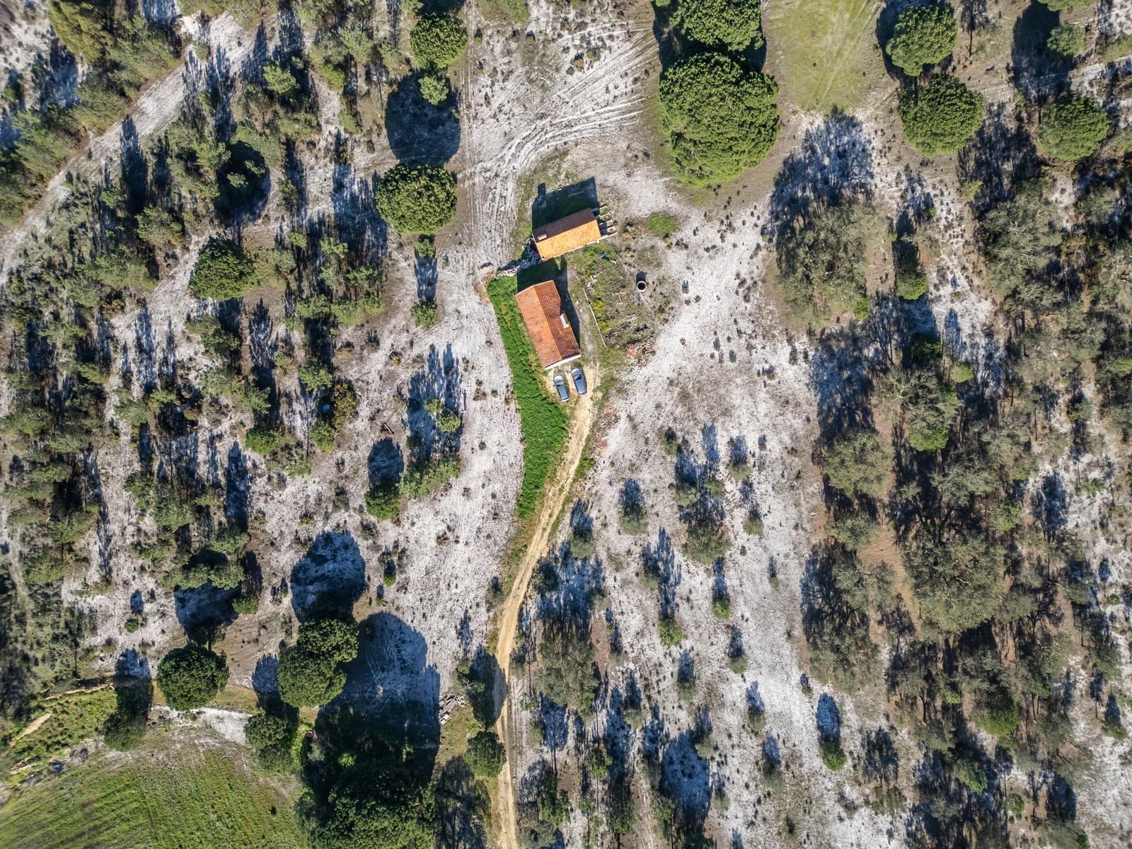 Quinta Agrícola