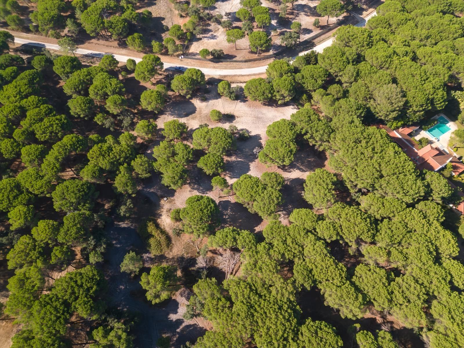 Lote de terreno